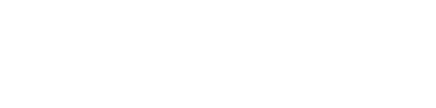 PSI_LogoFinalWhite